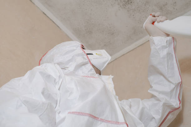 Best Toxic Mold Removal  in Forsyth, IL