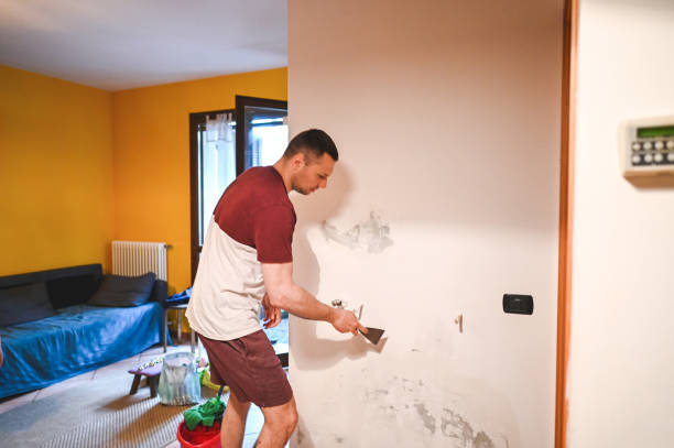 Best Same-Day Mold Removal  in Forsyth, IL